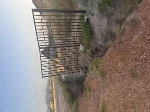Landed Property for Sale
