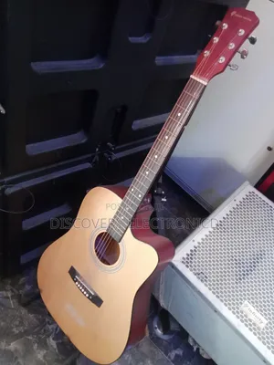 Boss Guitar
