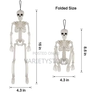 Halloween Human Skeleton