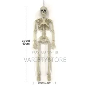 Halloween Human Skeleton