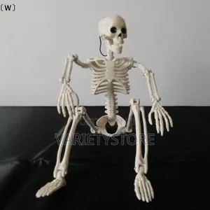 Halloween Human Skeleton