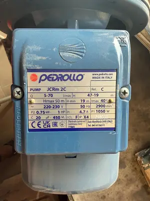1hp Pedrollo Stainless Surface
