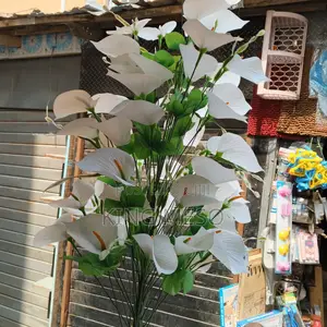 Lily Flower Long Available