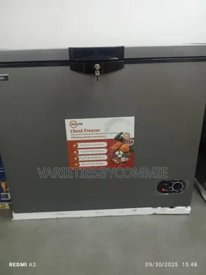 Energy Saving Durable Chest Freezer**