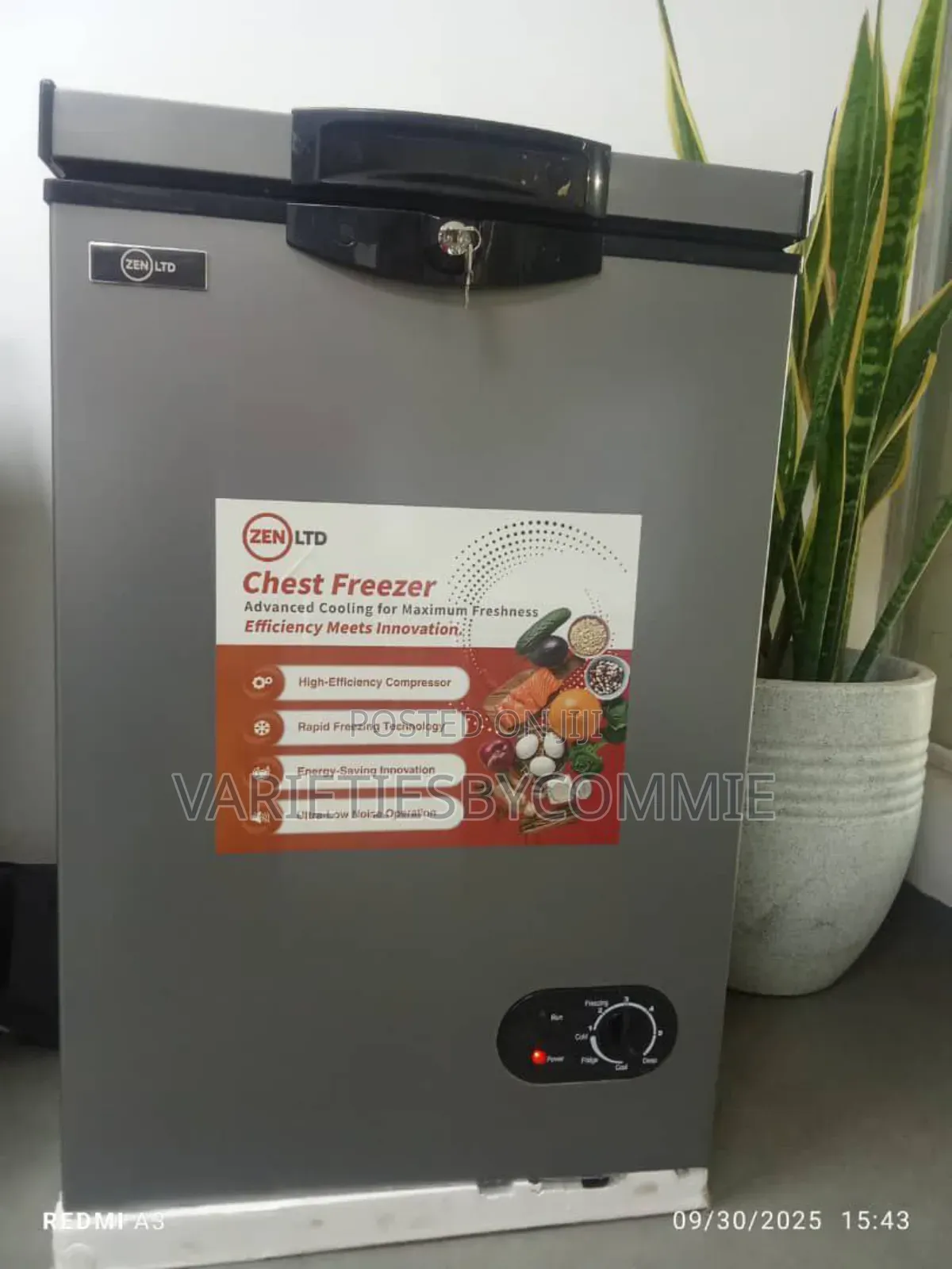 Energy Saving Durable Chest Freezer**
