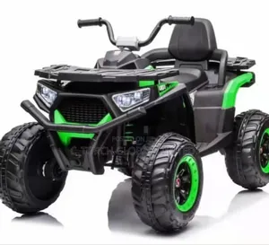 Electric Quad Bike Atv