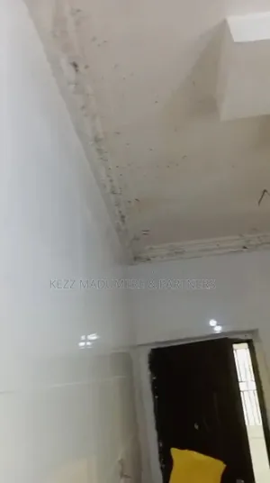 3bdrm Bungalow in Eneka Road Rukpokwu for rent