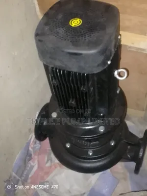 Grundfos in-Line Pump