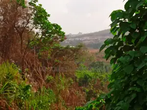 Greater Grace Estate