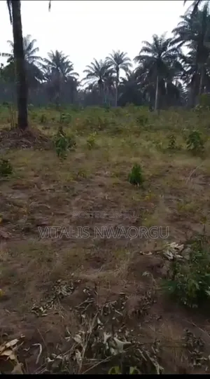 60 Plots of Land