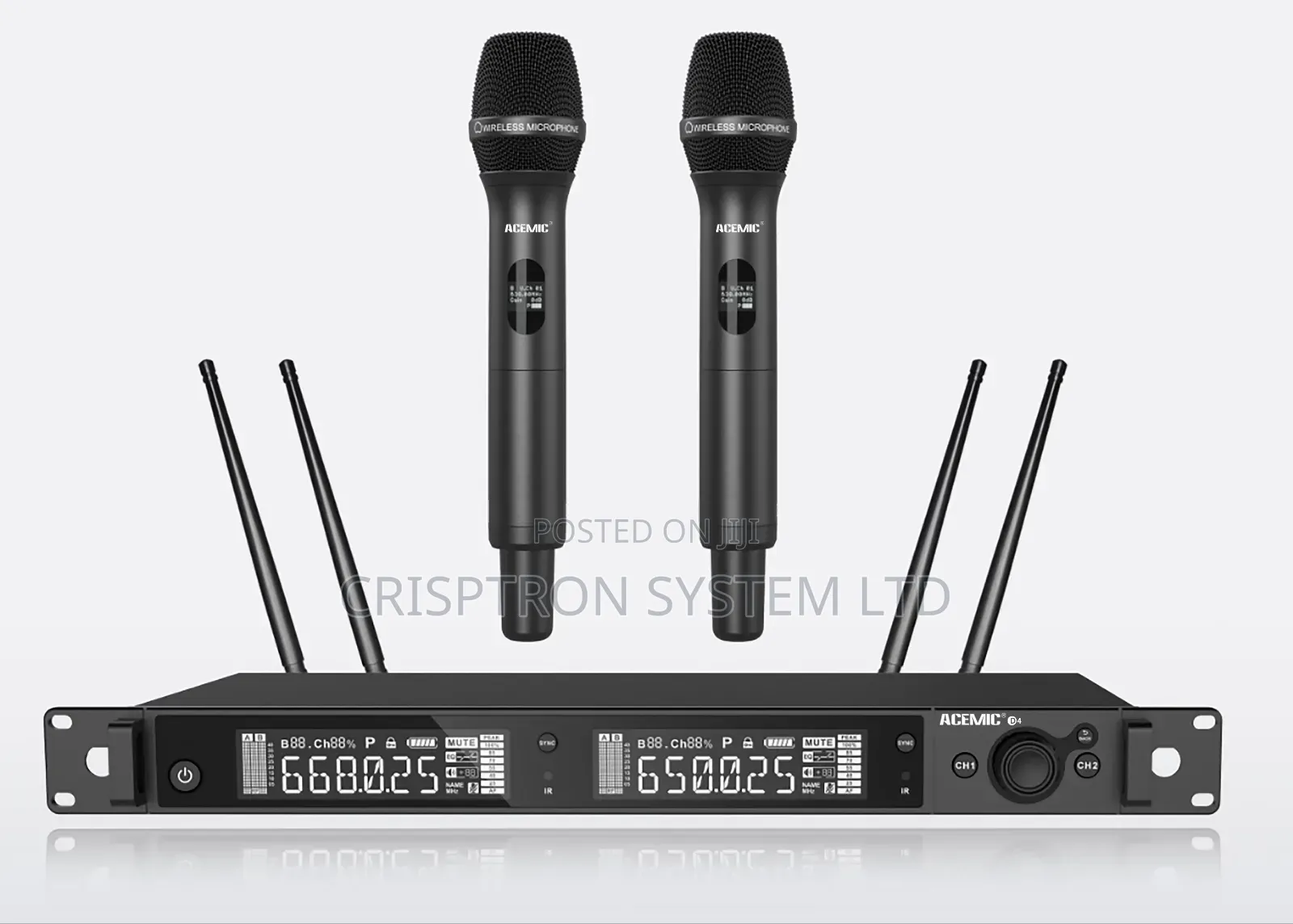 D4 Acemic Dual Channel Wireless Mic