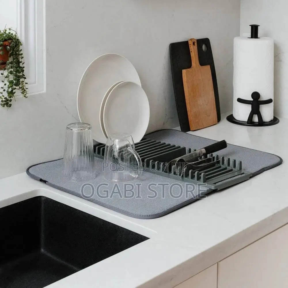 Dish Drying Rack With Absorbent Mat