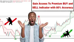 Learn To Spot Good Entries Using Our Buy Sell Software