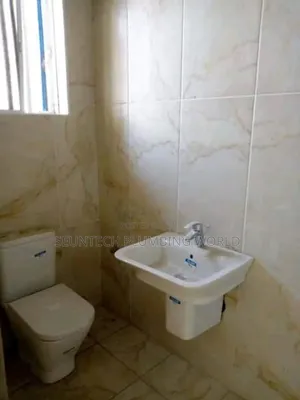 Plumbing Professional
