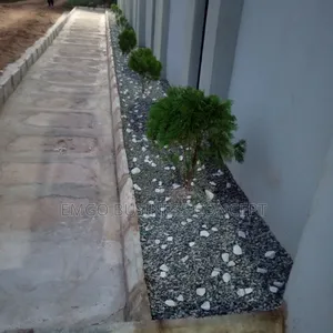 White Stones