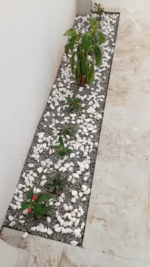 White Stones