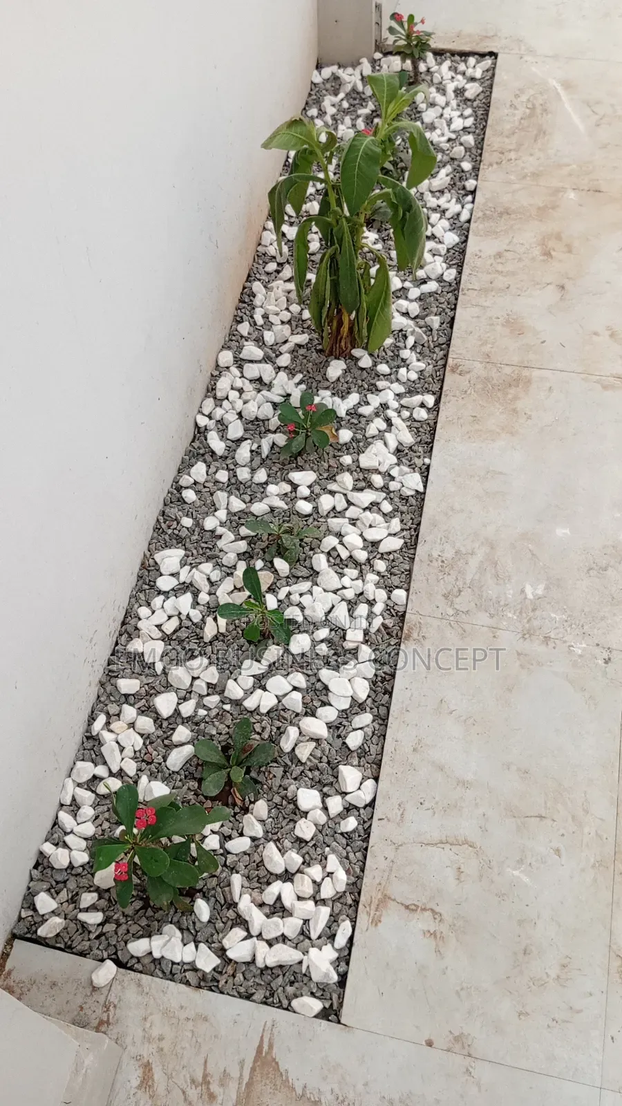White Stones