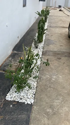 White Stones