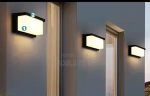 Security Wall Light