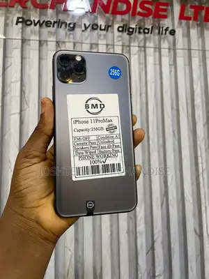 Apple iPhone 11 Pro Max 256 GB Gray