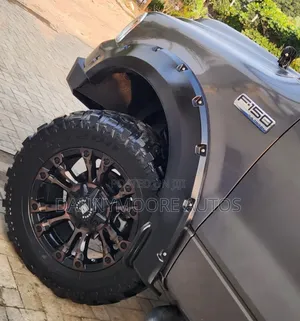Ford F-150 FX4 2010 Gray