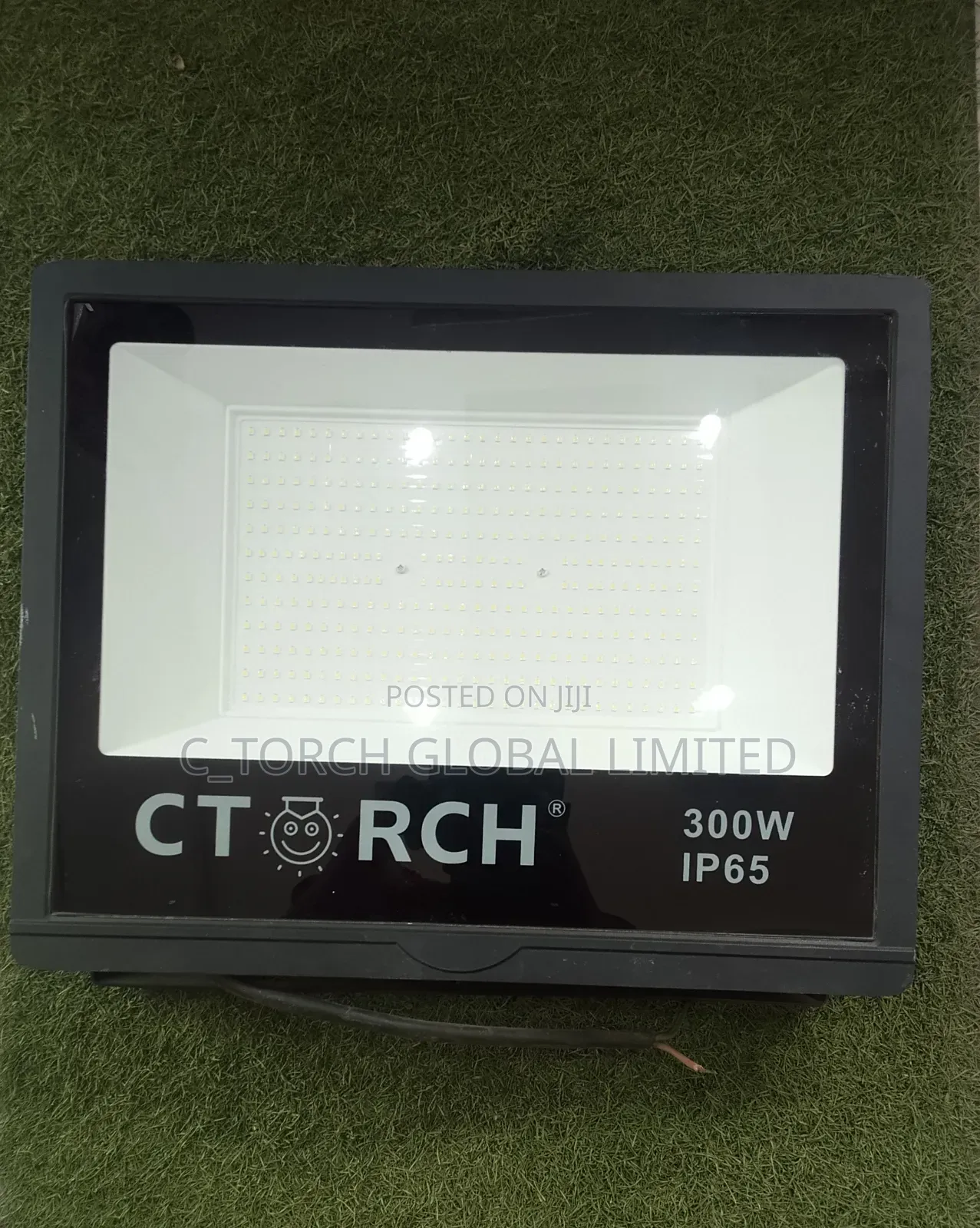 300w Electric Flood Light