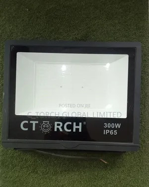300w Electric Flood Light