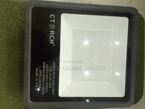 500w Electric Flood Light