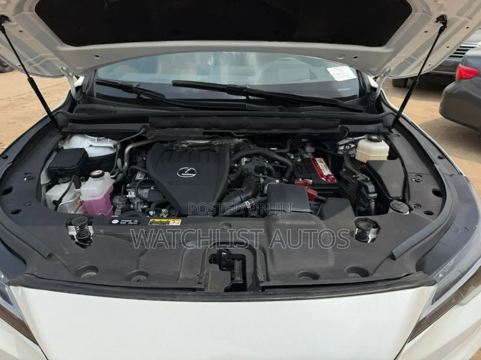 Lexus RX 2025 White