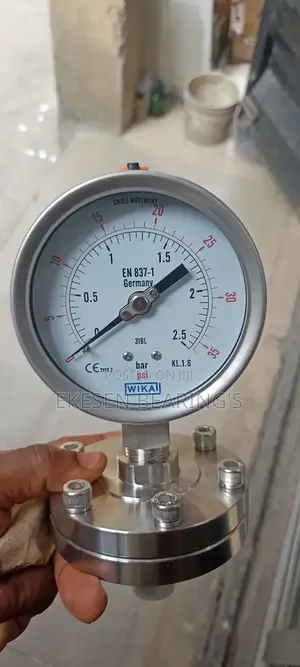 Wika Diaphragm Pressure Guage