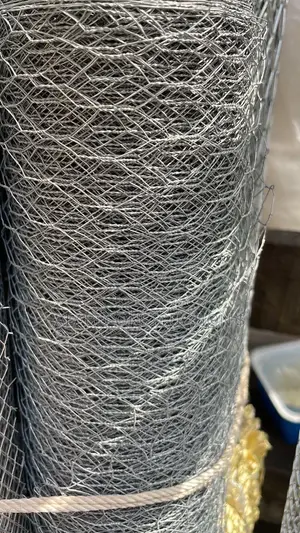 Chicken Nets/ Chicken Wire Mesh