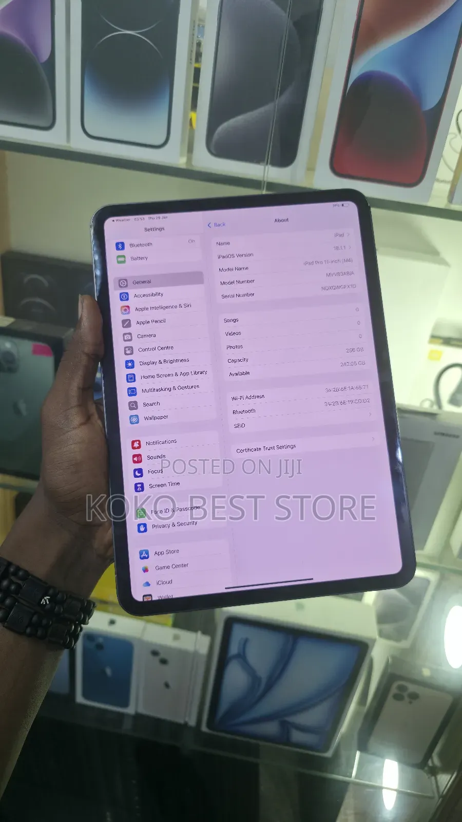 Apple iPad Pro 11 (2024) 256 GB Gray