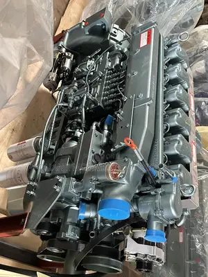 Howo 371 Covid 19 Model