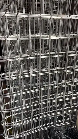 Stainless Steel Wire Mesh