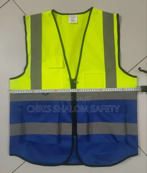 Lemon And Blue Reflective Vest