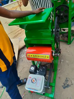 Groundnut Peeling