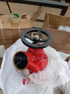 Flange Landing Valve