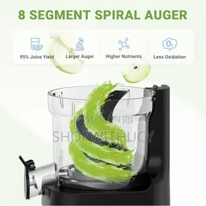 Amzchef Cold Press Masticating Juicer
