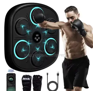Wireless Boxing Target