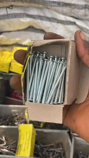 Tornado Concrete Nail for Building/Construction