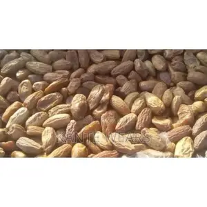 Organic Dates -1 Paint - 5kg