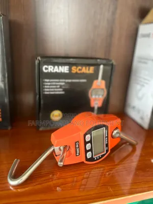 300kg Crane Scale