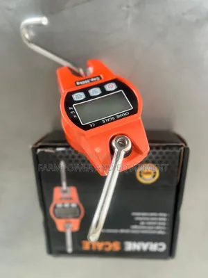 300kg Crane Scale