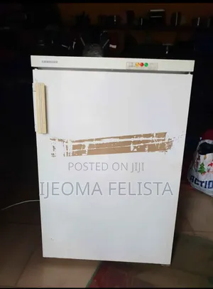 Table Top Freezer