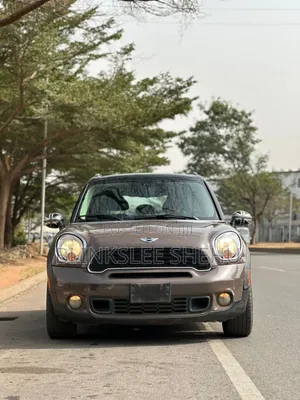 Mini Countryman 2013 Gray