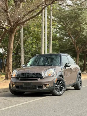 Mini Countryman 2013 Gray