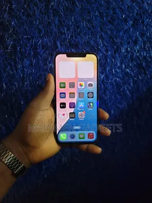 Apple iPhone 12 Pro Max 256 GB Gray