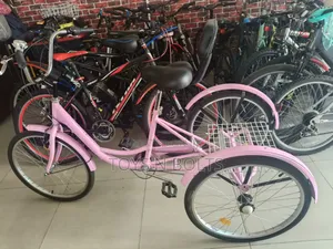 3 Legged Adult Bicycle 3 Wheels Size 24