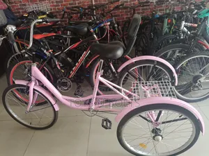 3 Legged Adult Bicycle 3 Wheels Size 24