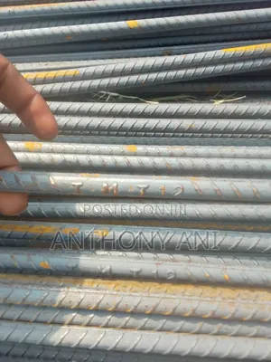 Iron Rods (12mm Tmt)